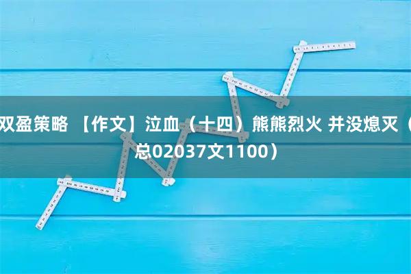 双盈策略 【作文】泣血（十四）熊熊烈火 并没熄灭（总02037文1100）