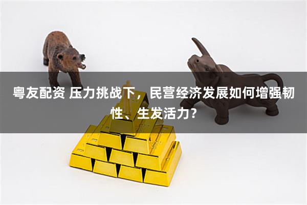 粤友配资 压力挑战下，民营经济发展如何增强韧性、生发活力？