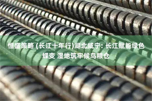 恒盛策略 (长江十年行)湖北咸宁: 长江赋能绿色蝶变 湿地筑牢候鸟粮仓