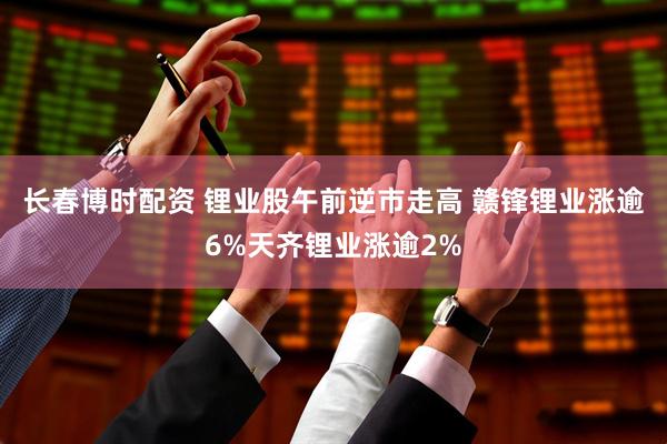 长春博时配资 锂业股午前逆市走高 赣锋锂业涨逾6%天齐锂业涨逾2%